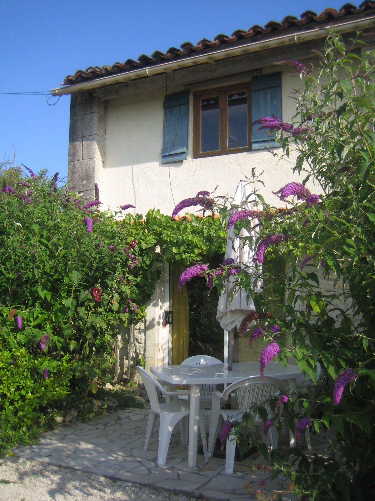 holiday cottage with budlea bushes with purple flowers