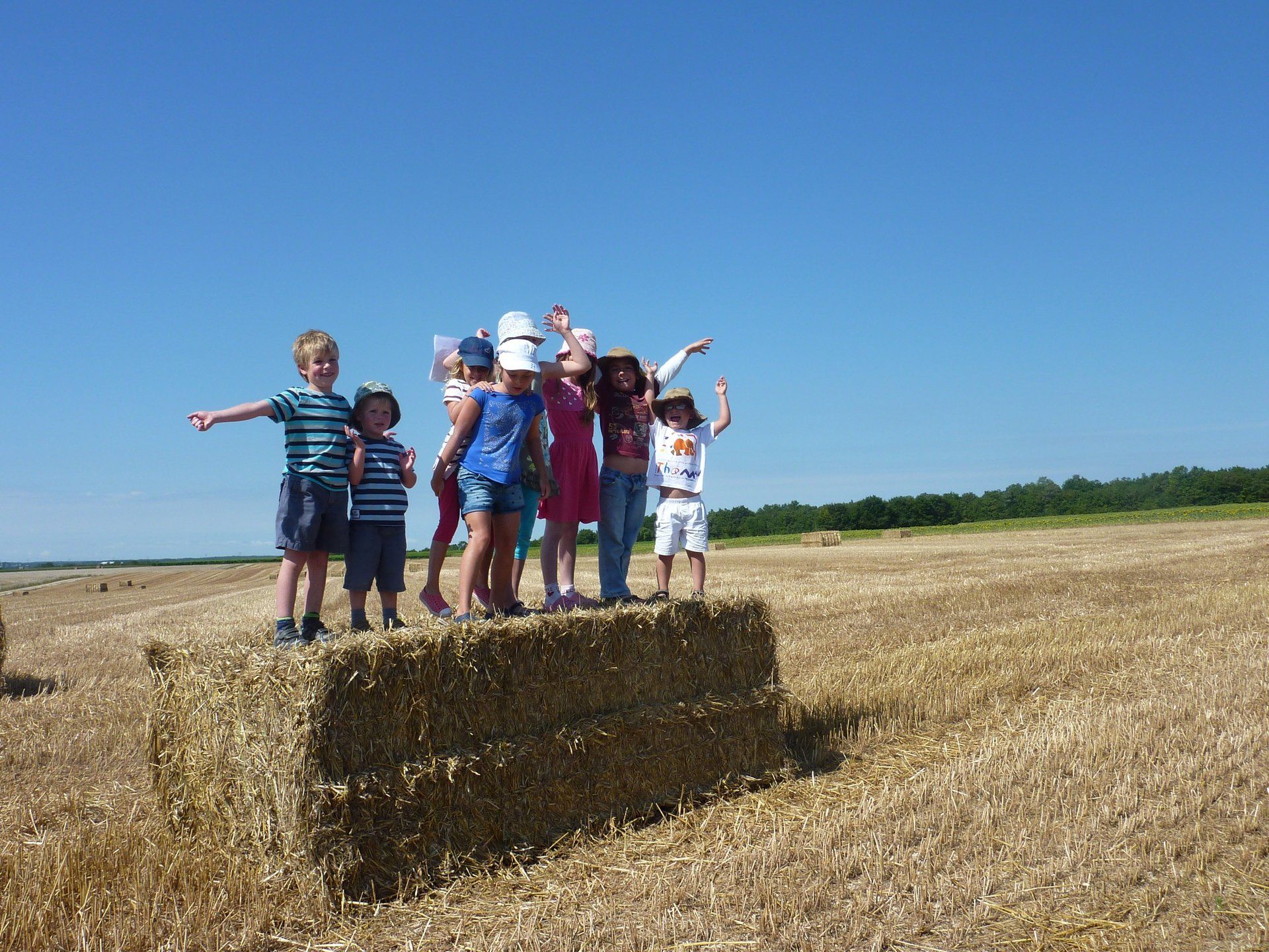 children standing on a hay bale on the vineyard walk
