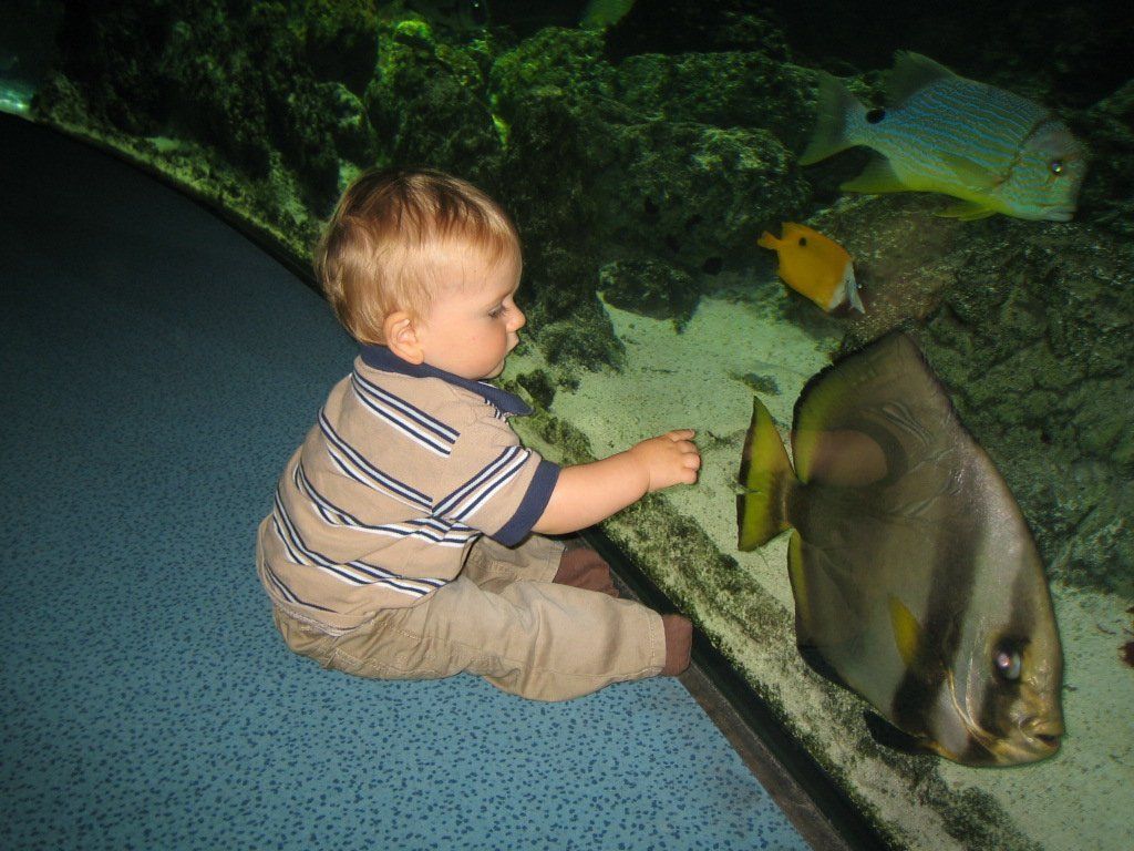 La Rochelle  kid friendly aquarium