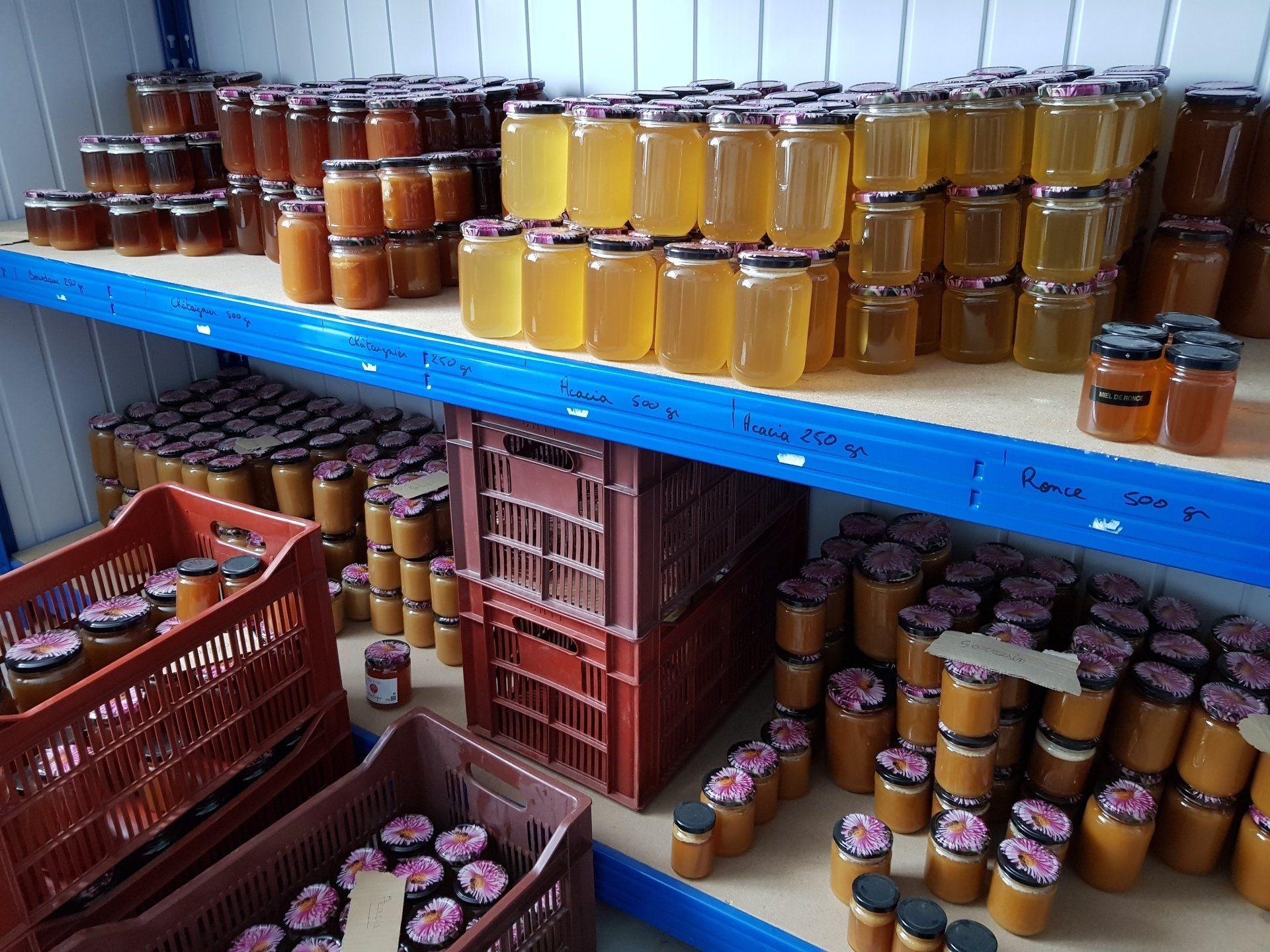 honey jars on shelves