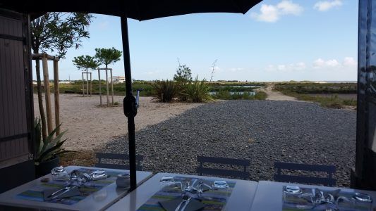view from a restaurant table of the beach