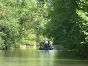 rowing boat on the canals of green venice. Trees overhanging the water