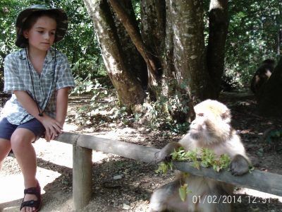 boy and monkey who is not in a cage looking at each other just 1m apart at vallée des singes