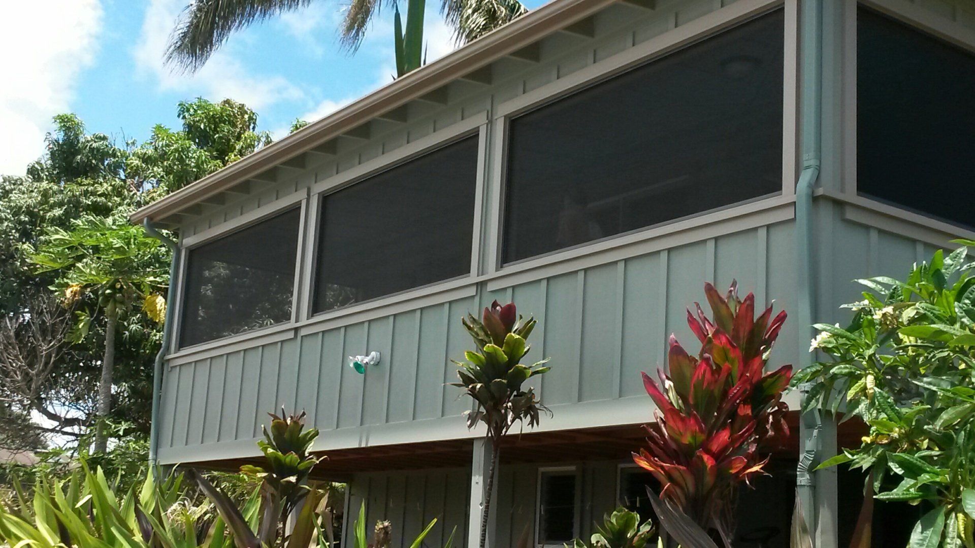 Screened-in porch on a light blue house surrounded by green plants.