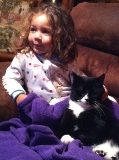 Cute Children And Her Cat - Elk Grove, CA - Noah's Ark Dog & Cat Grooming