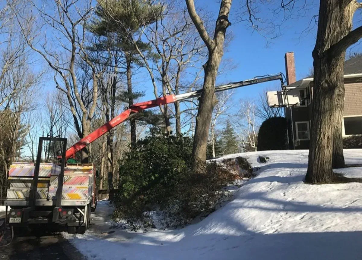 A crane is cutting a tree in front of a house.