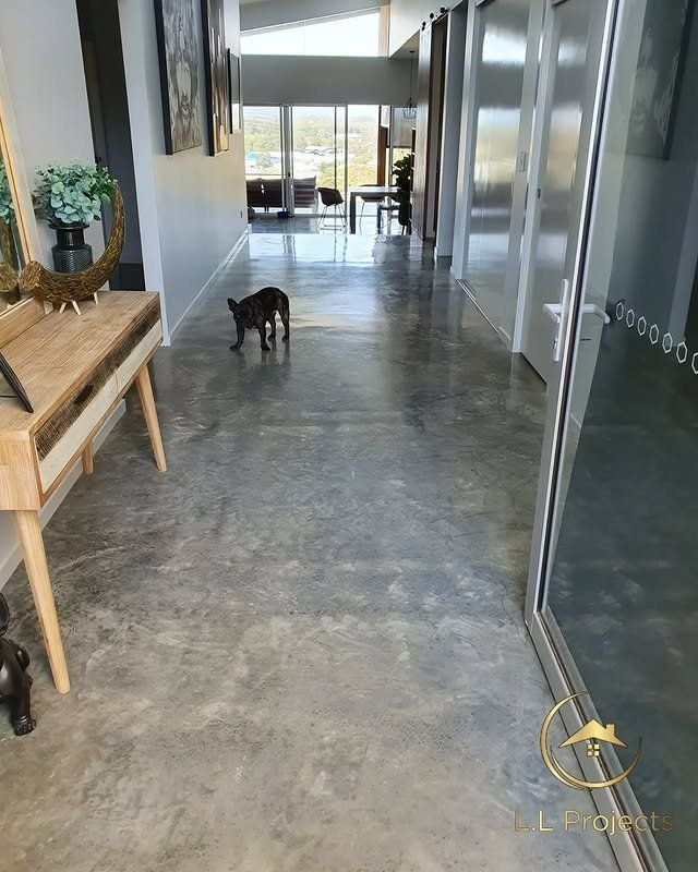 A Dog Is Standing on A Concrete Floor in A Hallway — L.L Projects in Hallidays Point, NSW