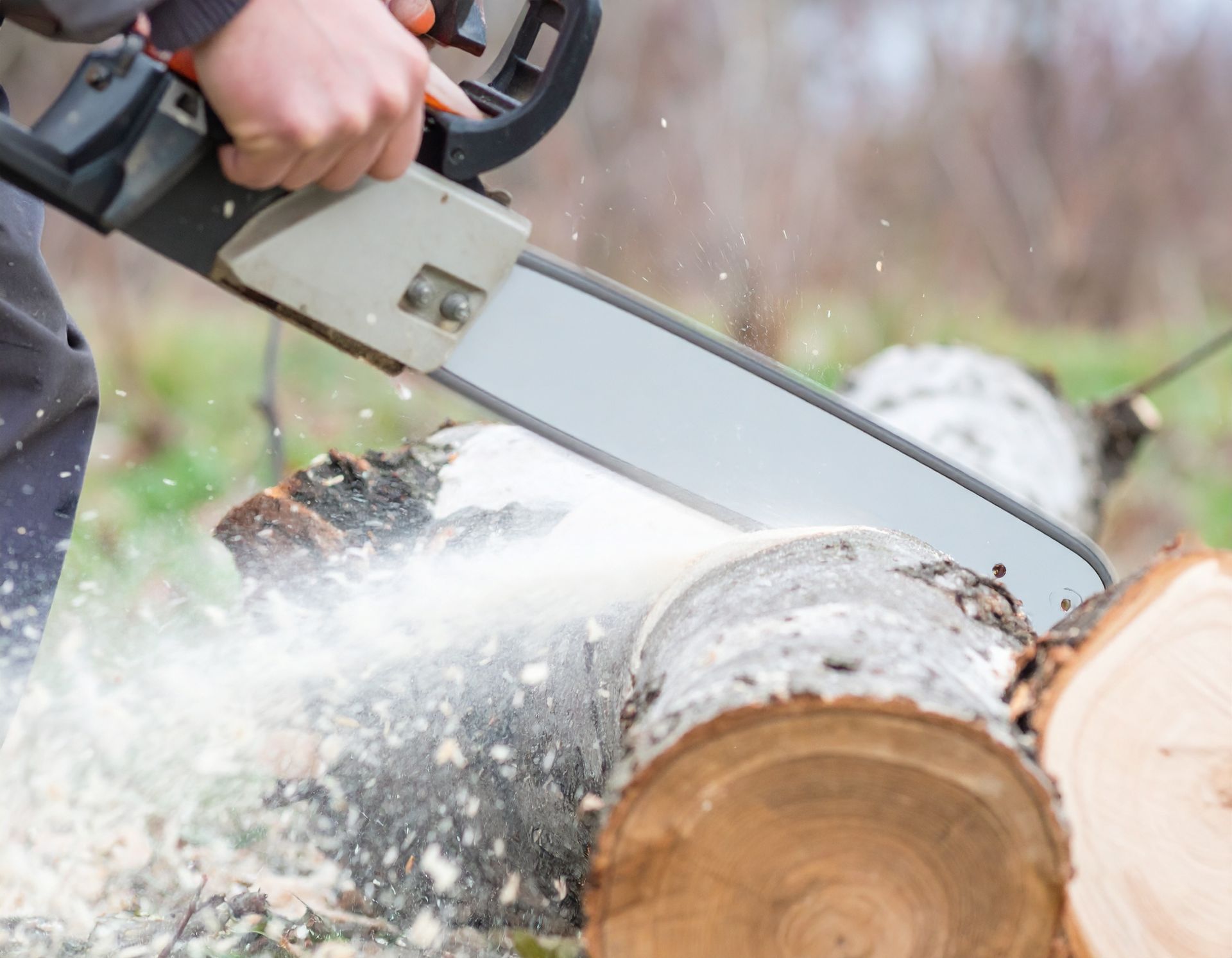 Tree Service Green Valley  log cutting