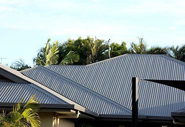 House With a Corrugated Metal Roof and Palm Trees in the Background — CP Roofing in Old Bar, NSW