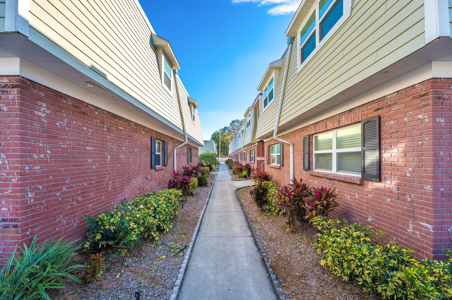 Narrow walkway between brick townhouses with green plants under a bright blue sky.