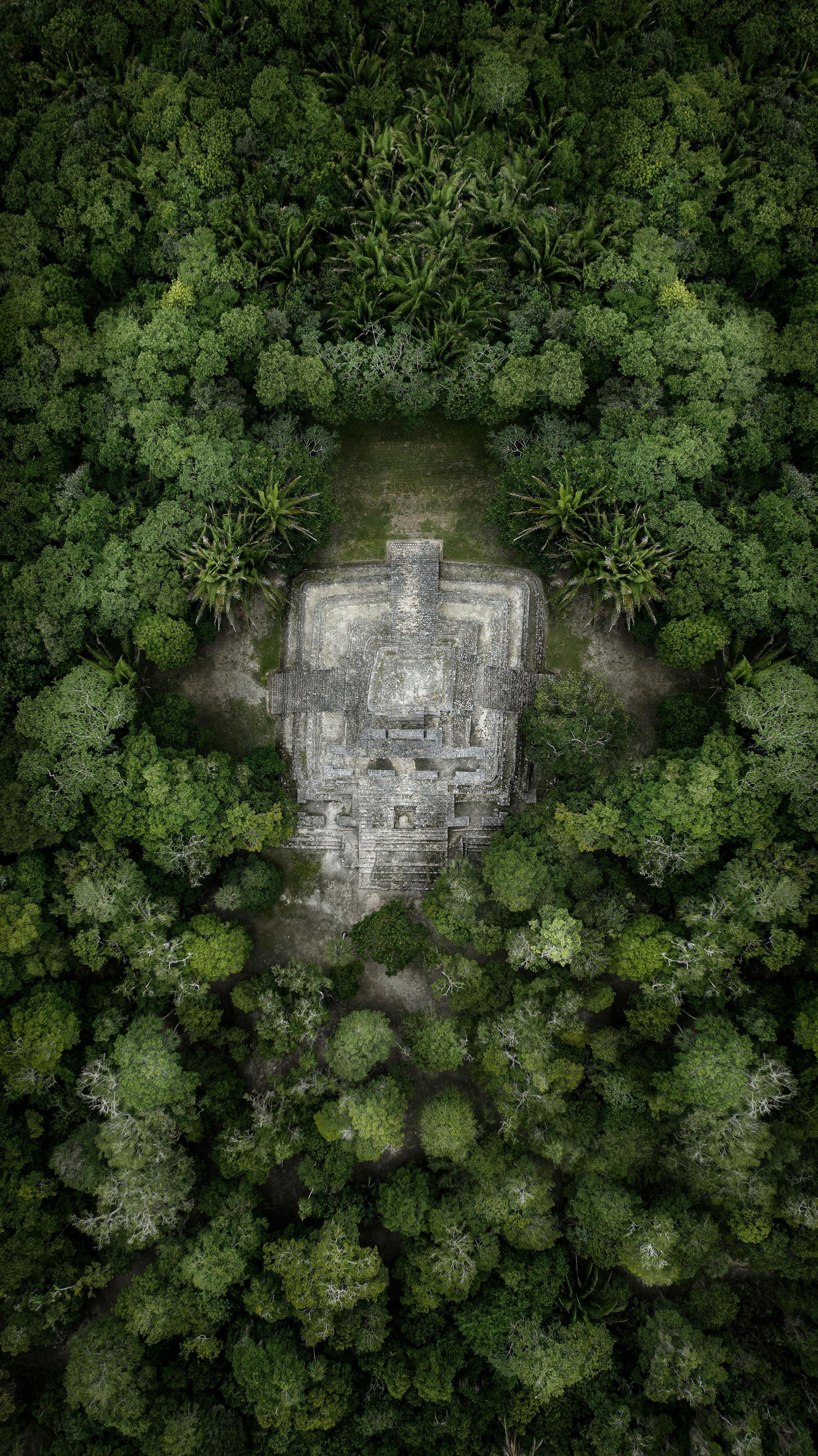 Overhead view of ancient stone ruins surrounded by dense green forest.
