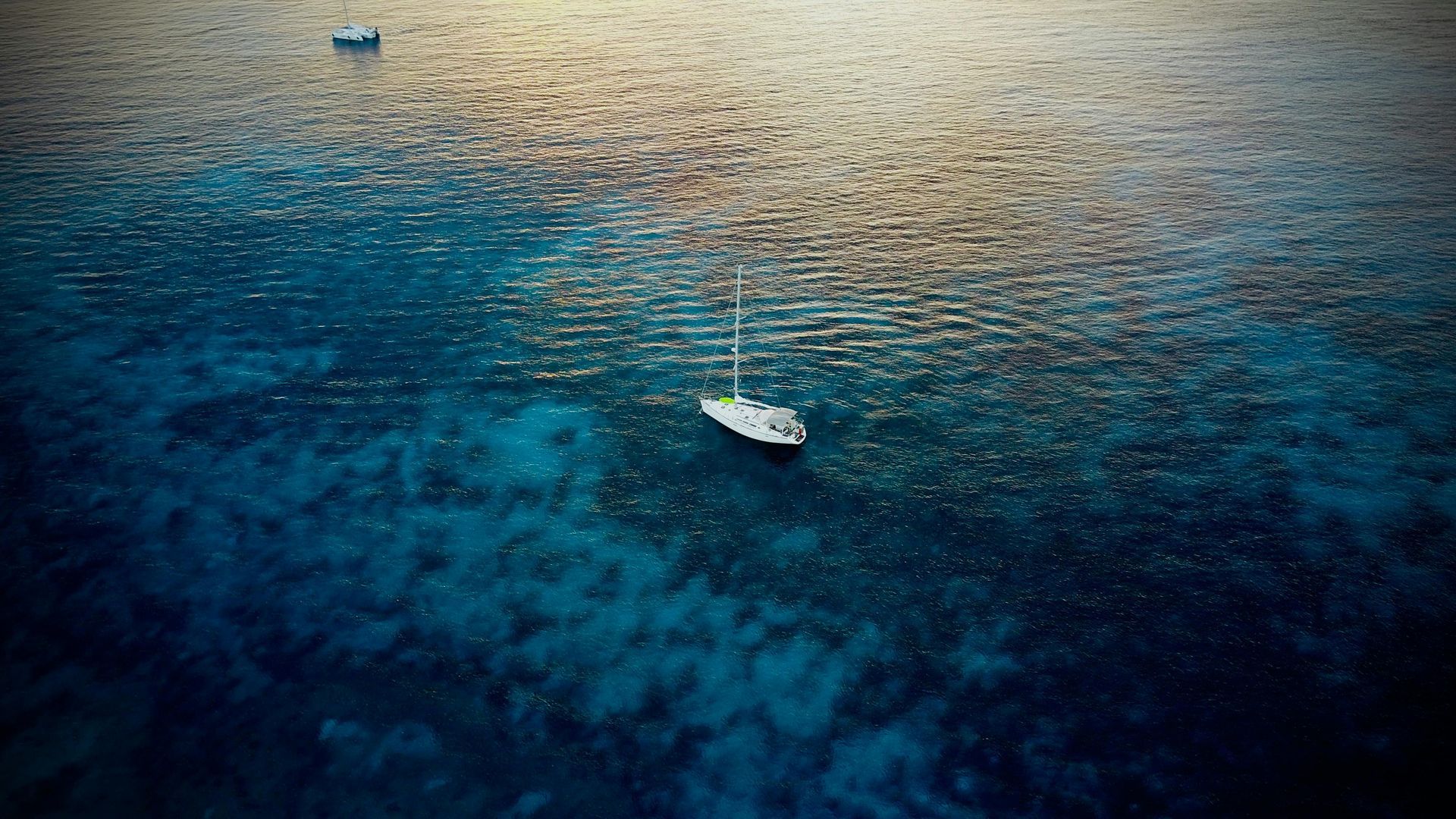 Two people in downward-facing dog pose on a wooden deck in a forest.