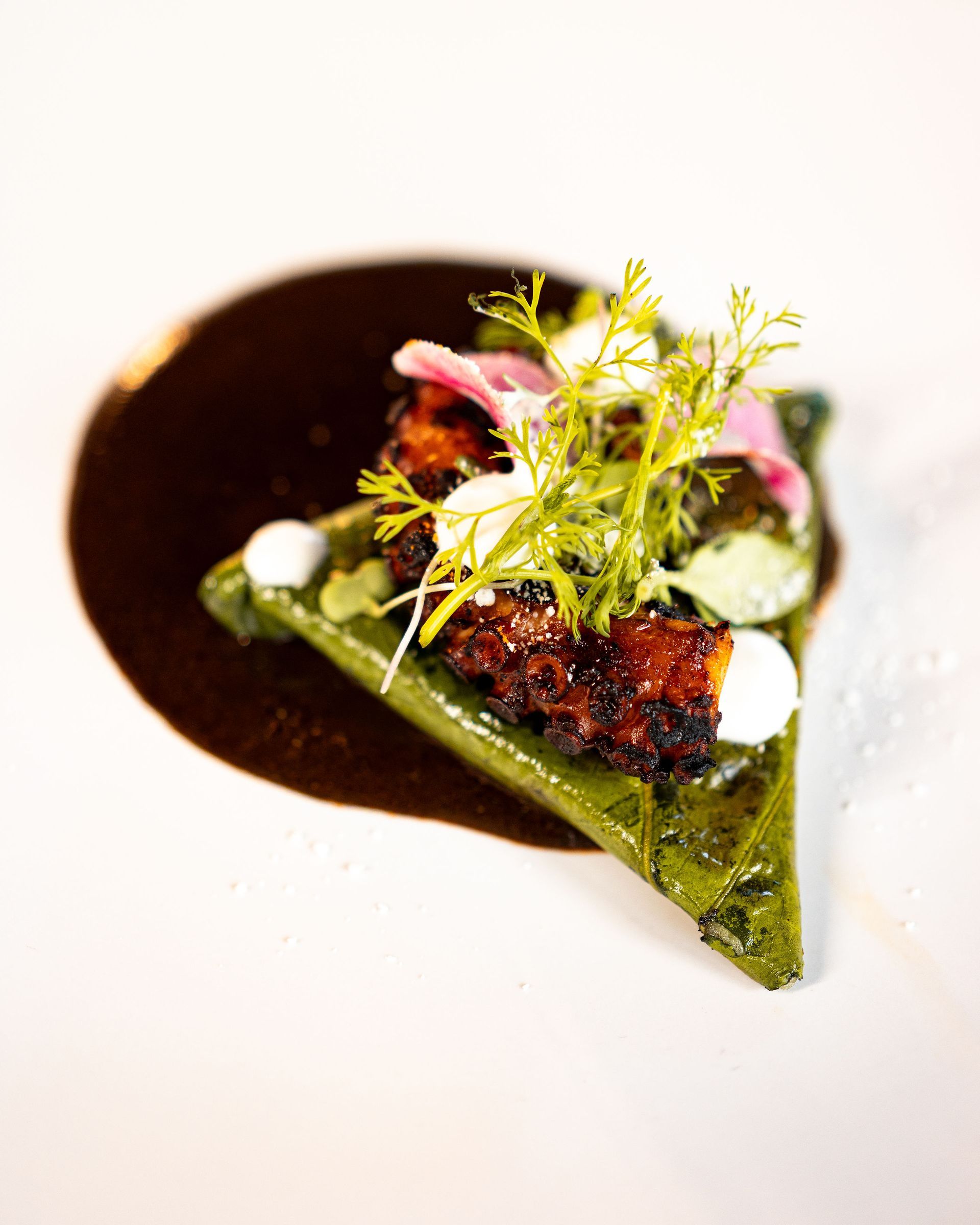 Triangular, green leaf topped with dark meat, greens, and sauce, on a plate with dark sauce.