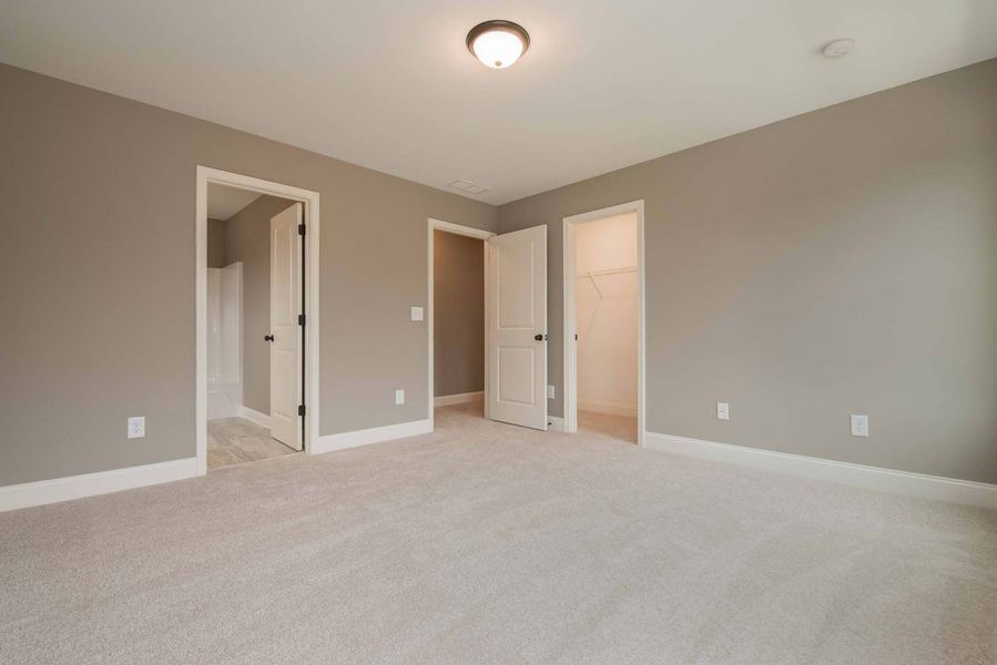 Empty bedroom with gray walls, light carpet, and three white doors.