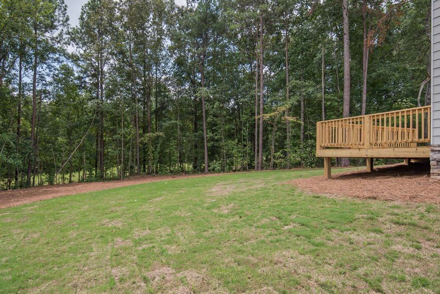 A backyard with green grass, a wooden deck, and a backdrop of tall trees.