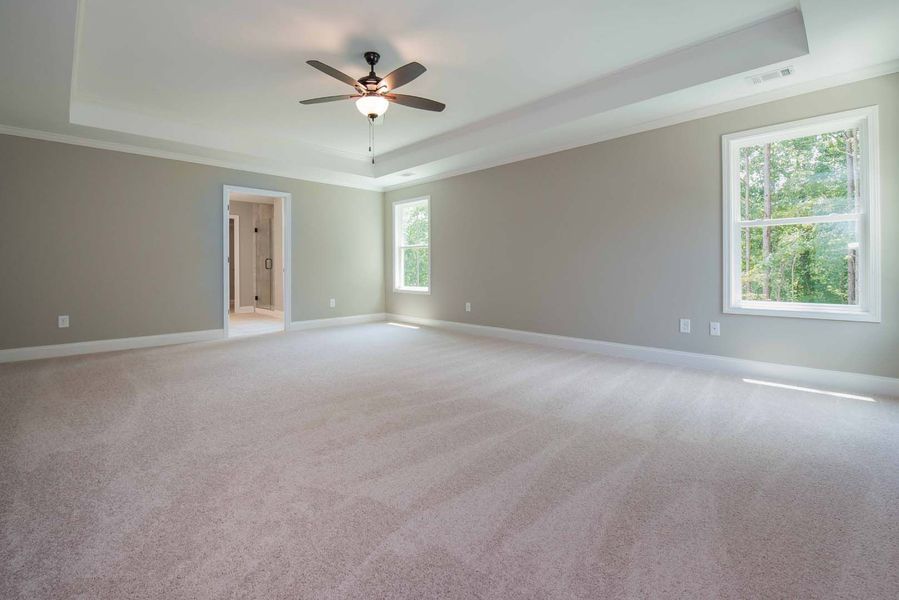 Large, empty bedroom with light gray walls, cream carpet, two windows, and a ceiling fan.