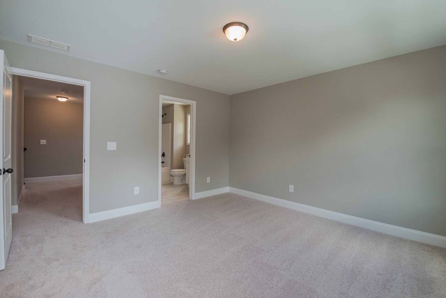 Empty bedroom with gray walls, carpet, and doorways to a hall and bathroom.