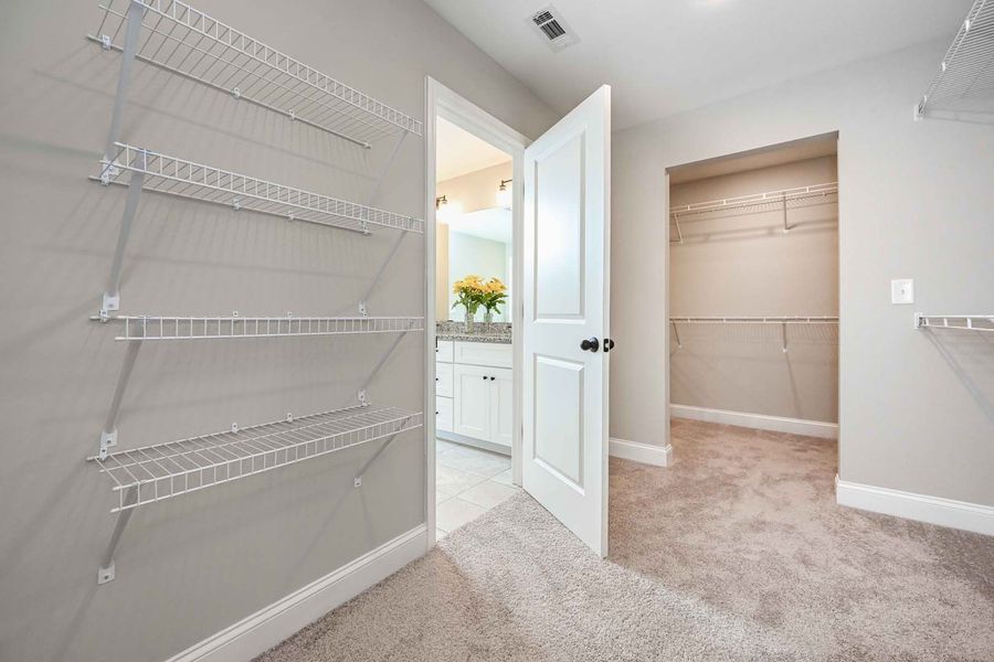 Walk-in closet with wire shelves, doorway to bathroom, light grey walls, and beige carpet.