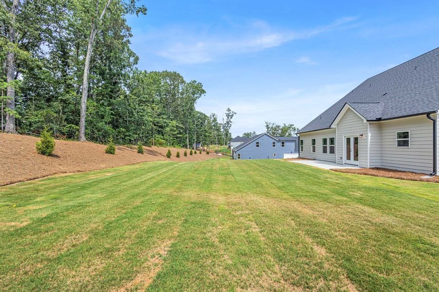 Lawn with newly planted small trees, backing up to a forest, and a house under a blue sky.