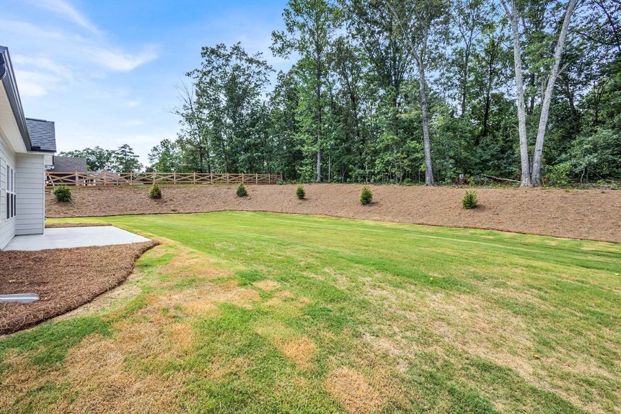 Backyard with green grass, mulch beds with small trees, and trees in the background.