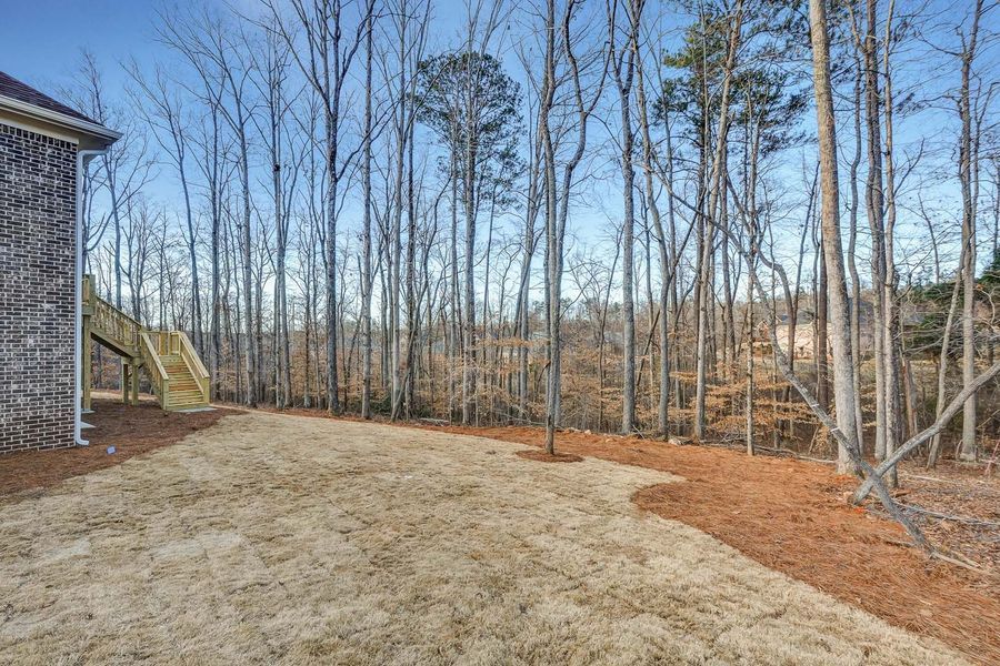 Backyard with bare trees, brown grass, wooden deck stairs, and clear blue sky.