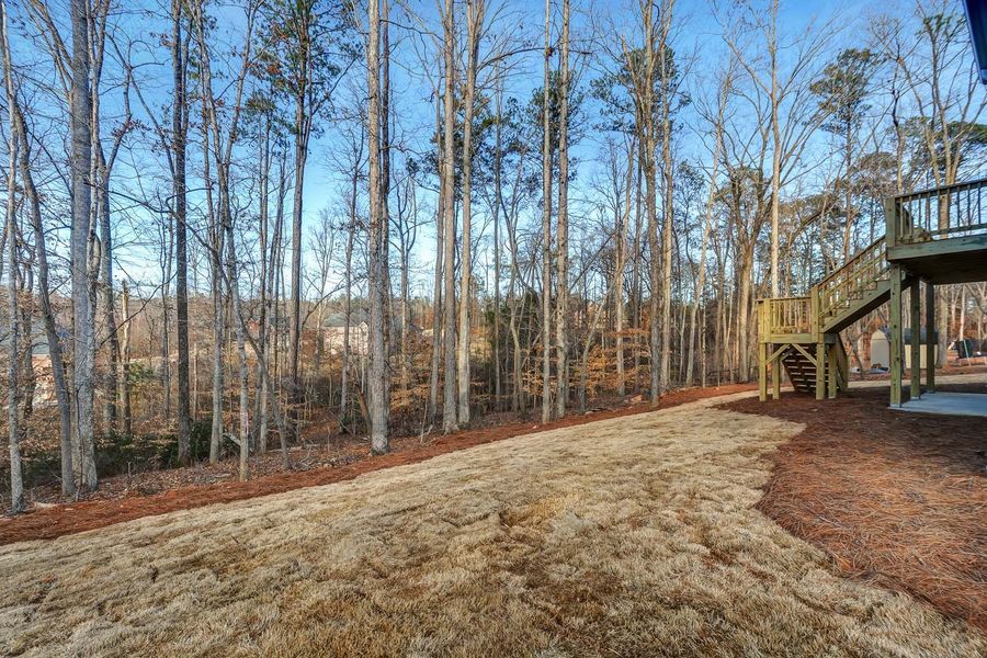 Backyard with bare trees, brown grass, and wooden deck under a blue sky.