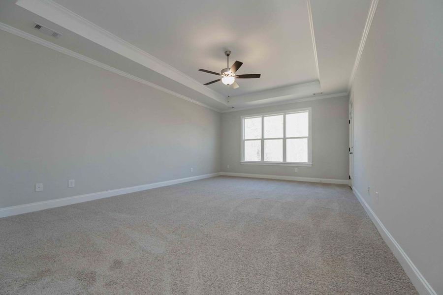Empty gray-walled room with carpet, crown molding, ceiling fan, and a multi-pane window.