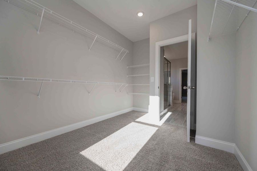Empty walk-in closet with wire shelving, gray walls, and carpet. Bright sunlight shines through an open doorway.