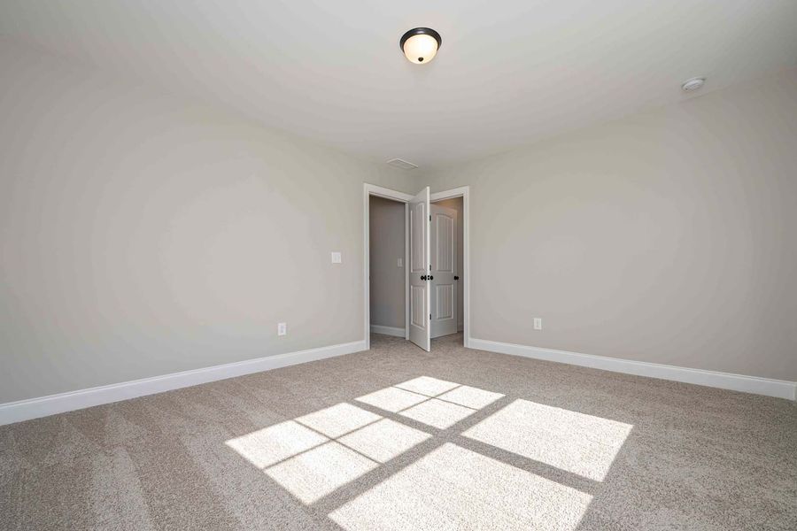 Empty room with gray walls, beige carpet, and sunlight shining through a window. Two doors are visible.