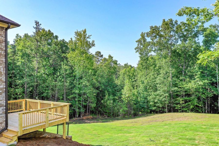 Wooden deck overlooking a grassy yard and a dense forest under a blue sky.
