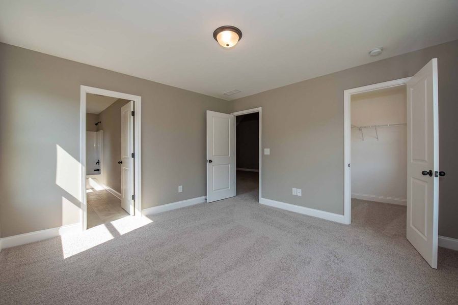 Empty bedroom with gray walls, carpet, and three white doors. Sunlight streams in.