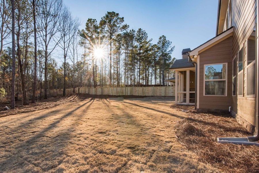 Backyard with dried grass, trees, sunburst, and house exterior.
