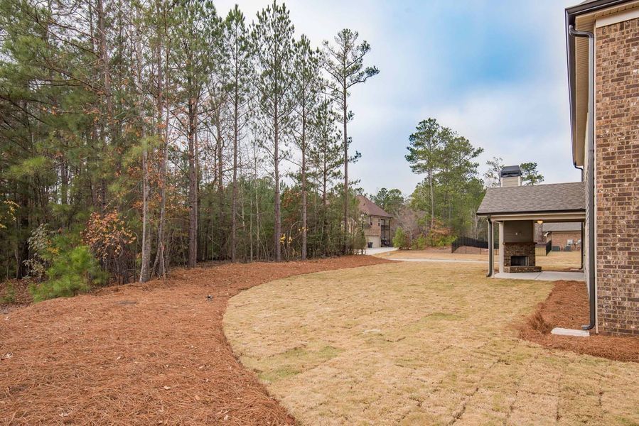 Backyard with trees, brown mulch, and a brick house. Overcast sky.