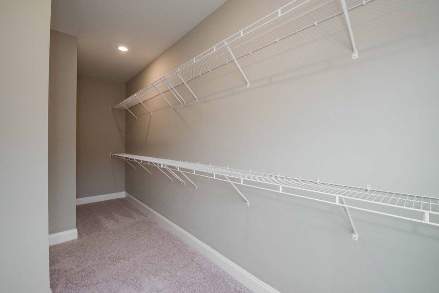 Empty walk-in closet with wire shelving and gray walls. Carpeted floor, neutral color palette.