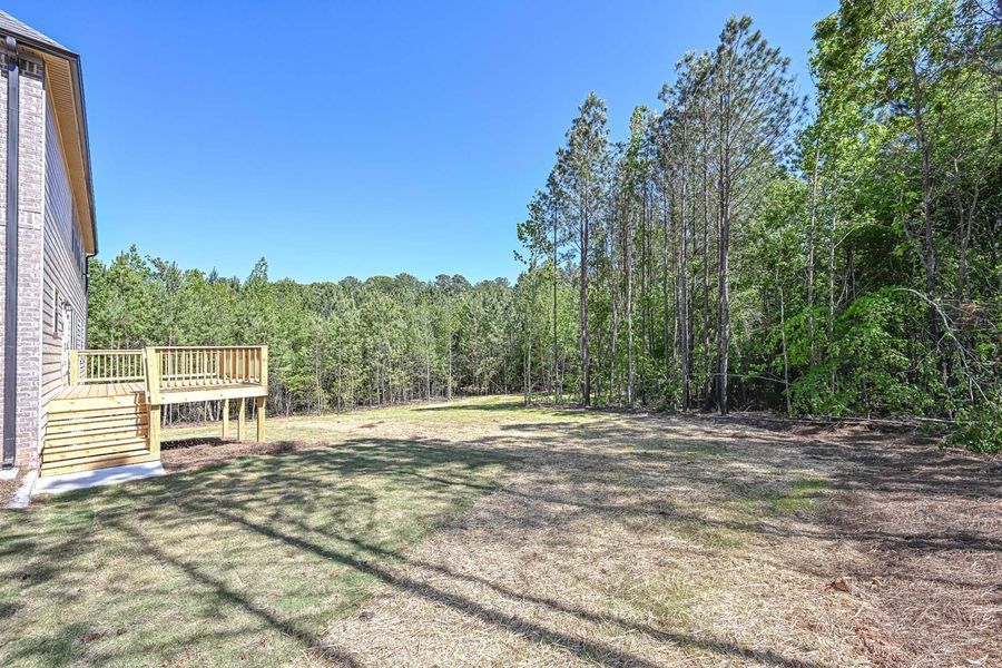 Backyard with deck, grassy area, and treeline under a blue sky.