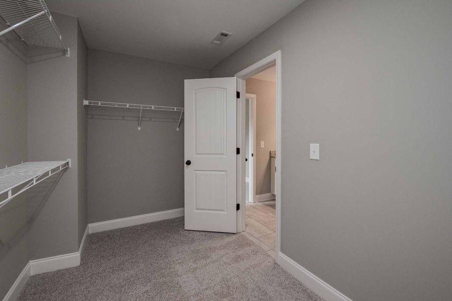 Empty walk-in closet with gray walls, carpet, and a white door leading to another room.