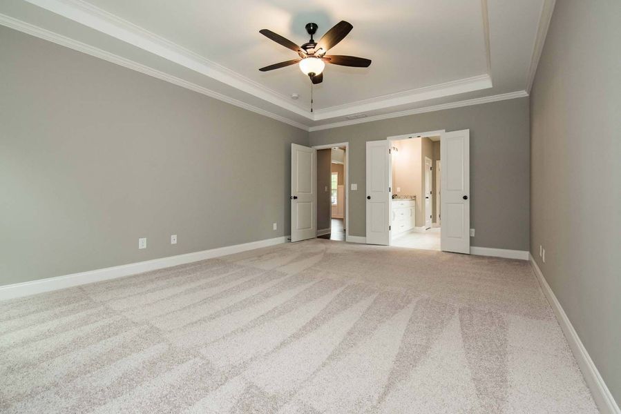 Empty gray bedroom with beige carpet, crown molding, ceiling fan, and open doors to bathroom and hallway.
