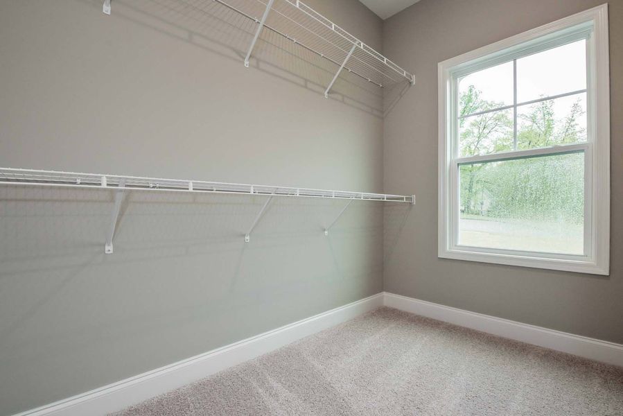 Empty walk-in closet with wire shelving and a window. Gray walls, white trim, and beige carpet.