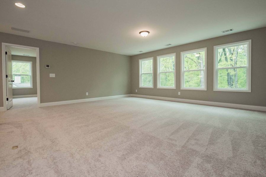 Empty room with gray walls, beige carpet, and three windows overlooking trees.
