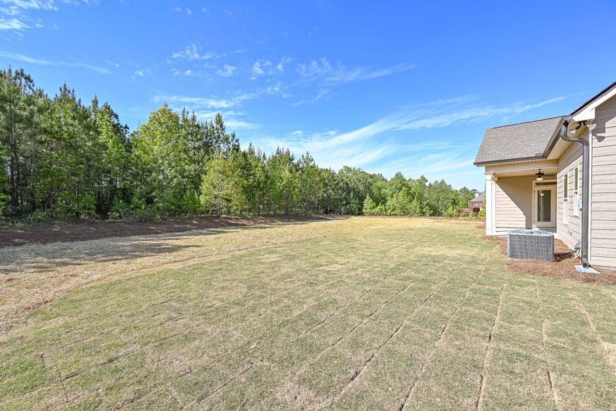 Grassy backyard with trees and part of a house under a blue sky.