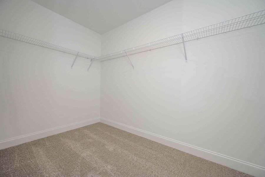 Empty closet with wire shelving and tan carpet. White walls and trim.