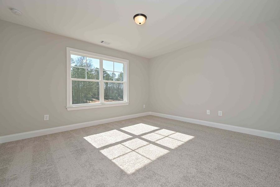 Empty room with light gray walls, a window, and carpet. Sunlight shines through the window onto the floor.
