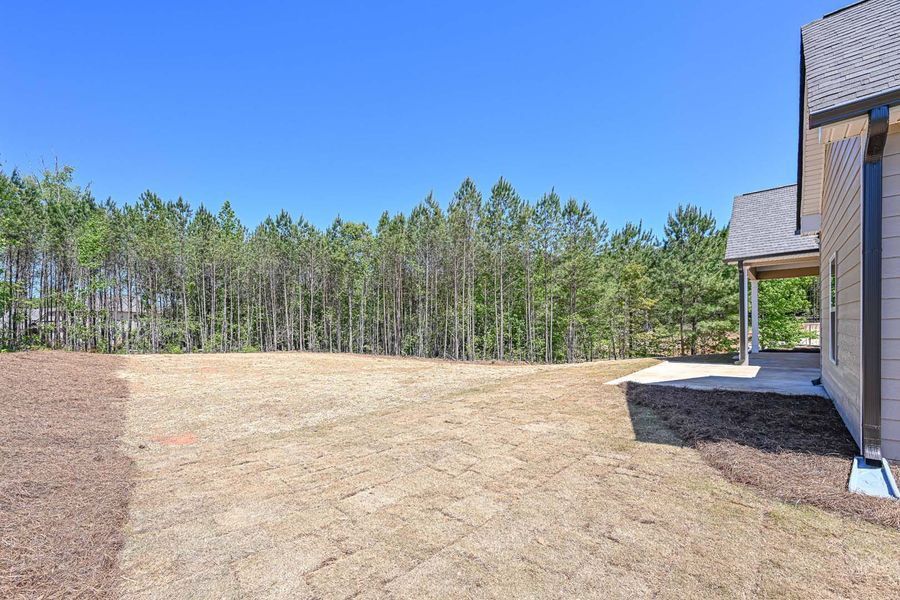 Backyard with dry grass, edge of house on the right, trees in the background, and a clear blue sky.