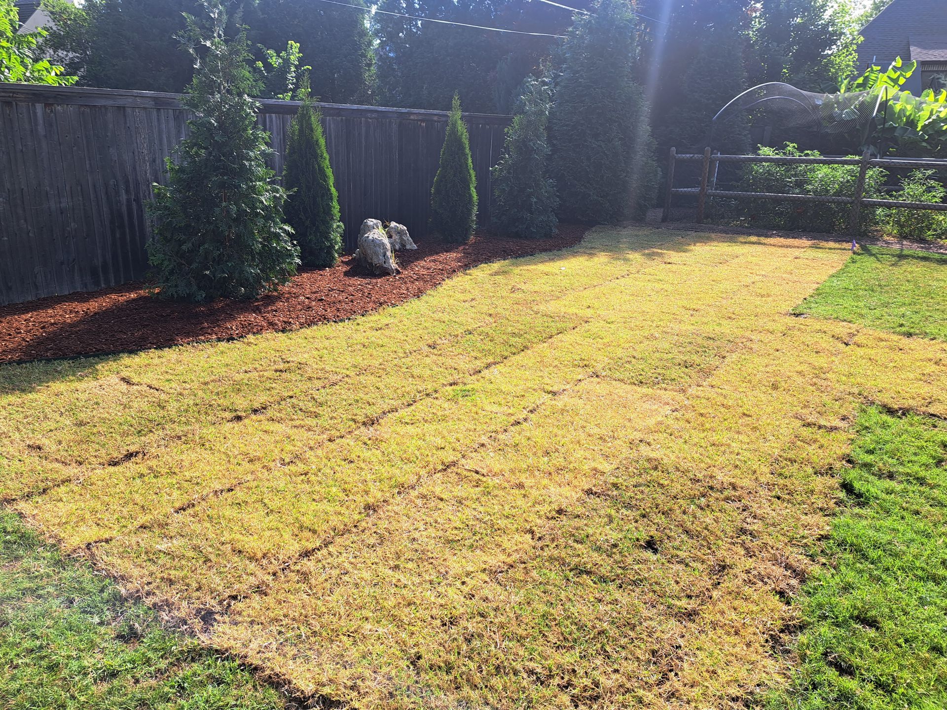 A backyard with a lot of grass and a fence.