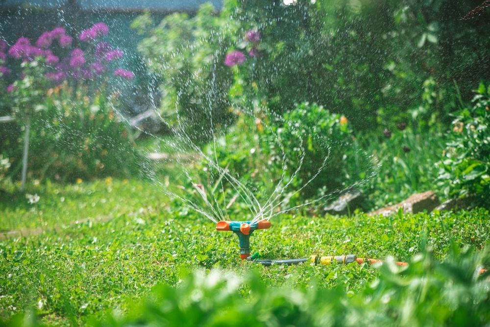 Sprinkler watering a lush green lawn in a garden with colorful flowers.