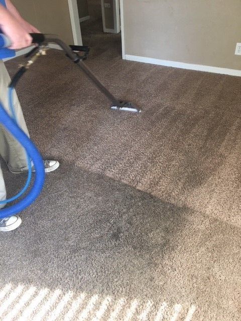 A person is cleaning a carpet with a vacuum cleaner.