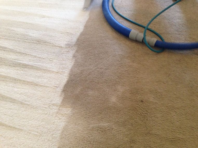 A close up of a carpet being cleaned with a blue hose.