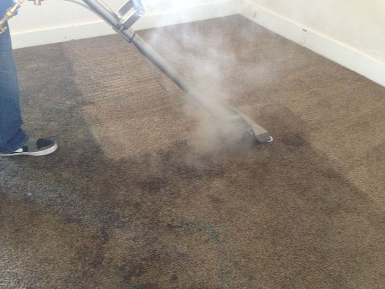 A person is cleaning a carpet with a steam cleaner.