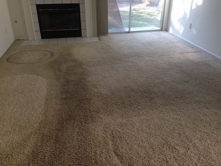 A living room with a fireplace and a large carpet.