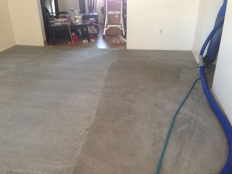 A room with a vacuum hose on the floor